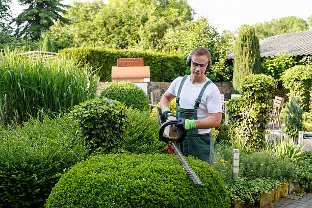 Best Organic Lawn Care Solutions  in Haskell, OK